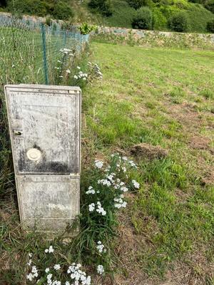 Terrain constructible - 1 003 m²