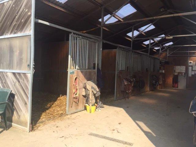 Maison de domaine équestre - 231 m² - 7 pièces