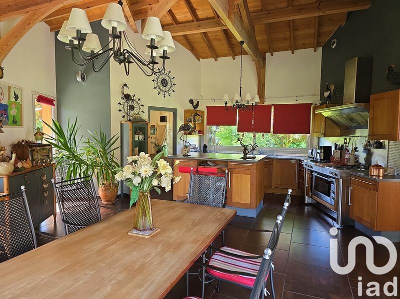 Maison de maîtres - 243 m² - 7 pièces