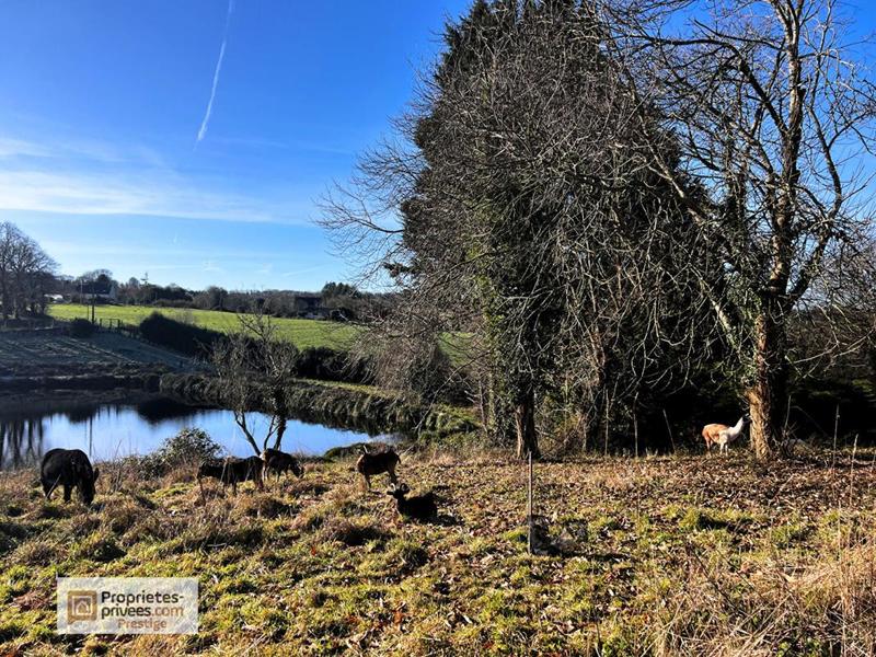 Maison - 233 m² - 8 pièces