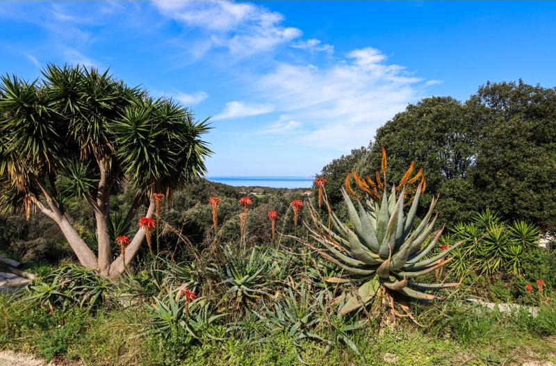 Villa - 270 m² - 10 pièces