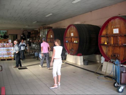 Cave de Mazenay