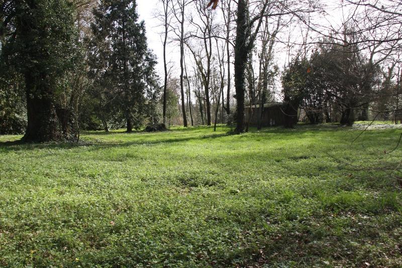 Terrain constructible - 8 124 m²