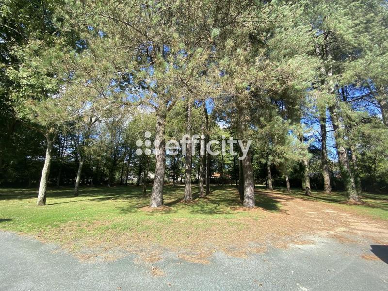 Villa - 233 m² - 8 pièces