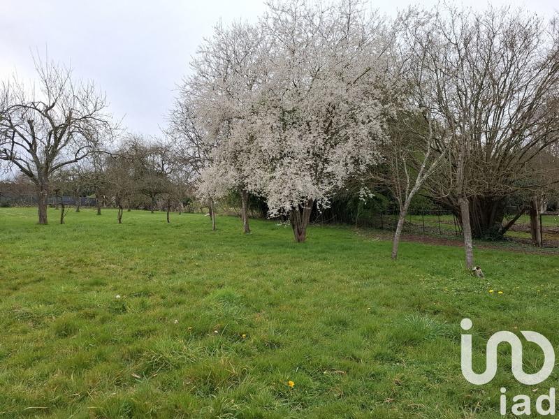 Maison - 147 m² - 5 pièces