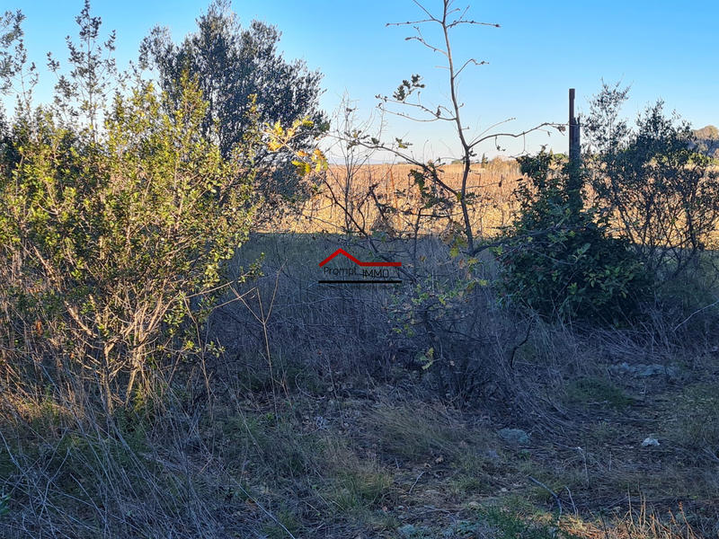 Terrain agricole - 5 730 m²