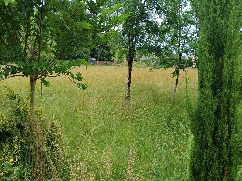 Propriété - 167 m² - 10 pièces