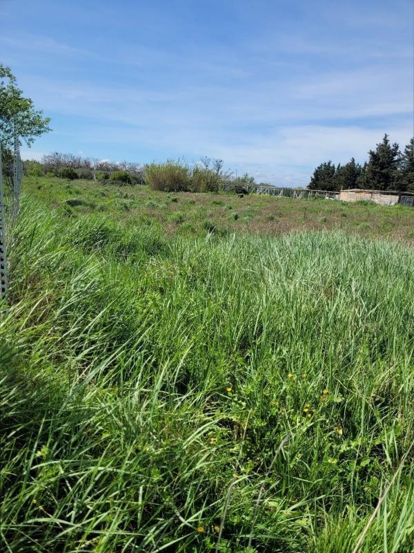 Terrain agricole - 2 452 m²