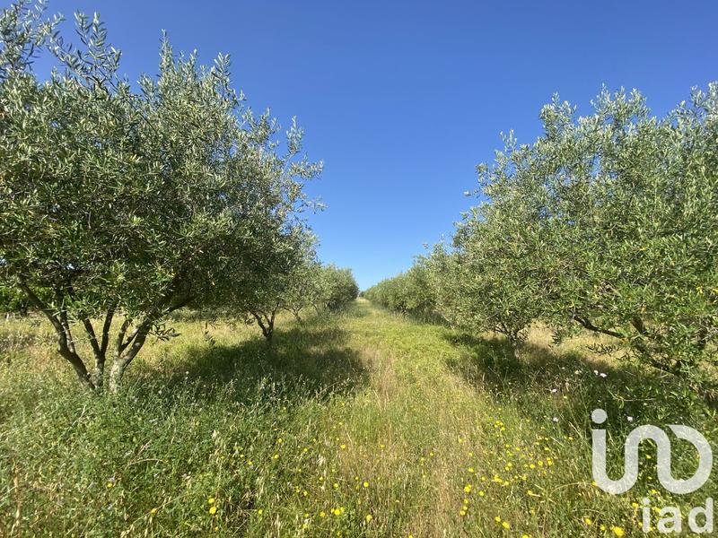Terrain agricole - 216 211 m²