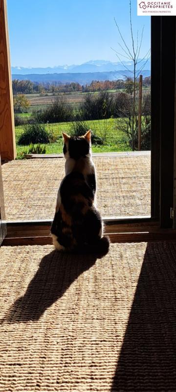 Maison de bois - 180 m² - 5 pièces