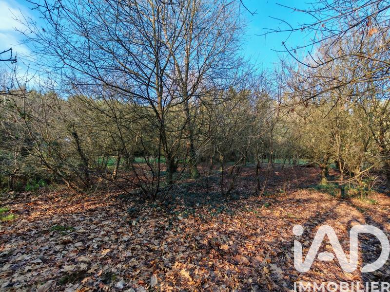 Maison - 100 m² - 6 pièces