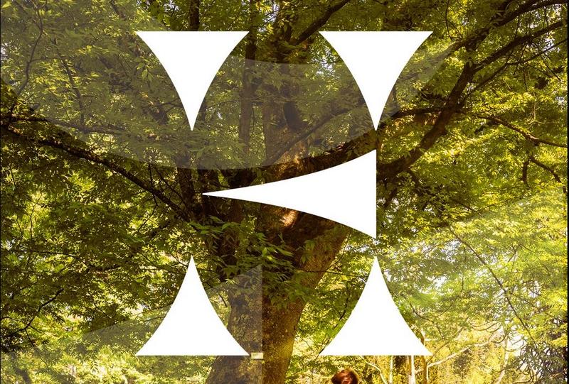 "A l'assaut du château" d'Harcourt