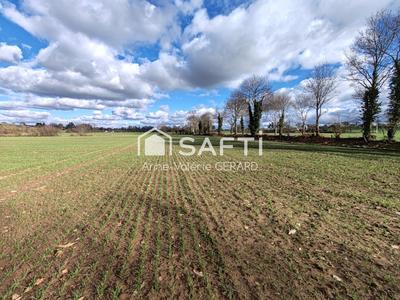Terrain agricole - 150 000 m²
