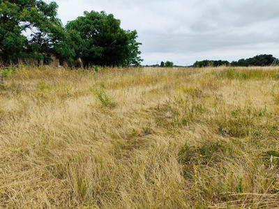 Terrain constructible - 3 799 m²