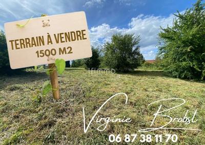 Terrain - 1 500 m²