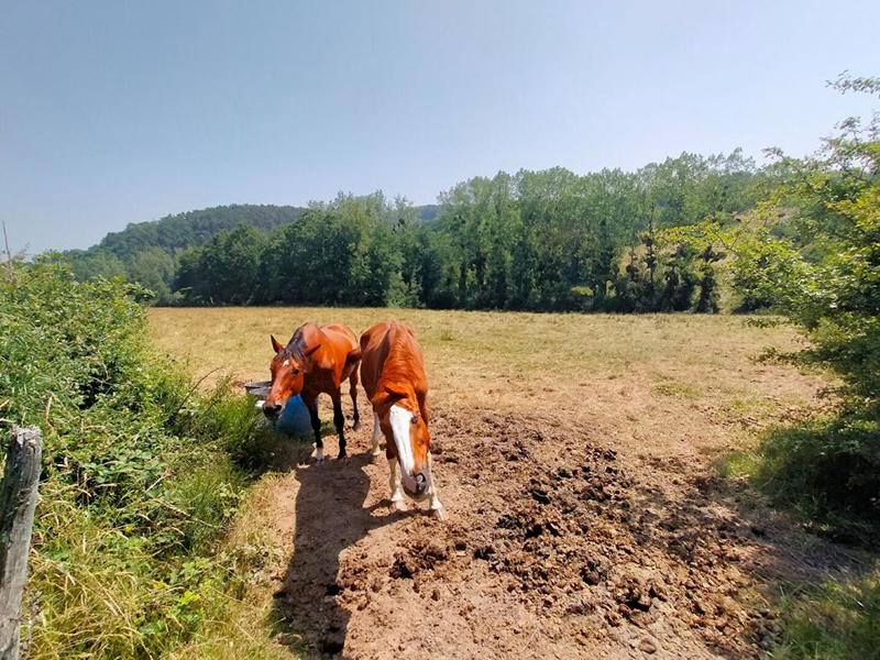 Corps de ferme - 95 m² - 5 pièces