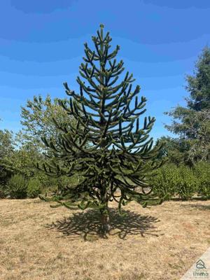 Propriété - 164 m² - 7 pièces