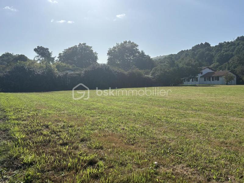 Terrain - 1 161 m²