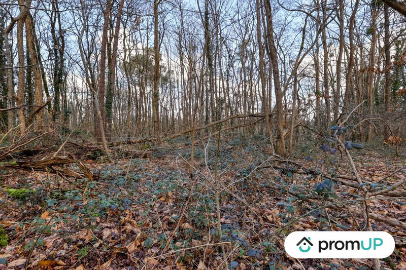 Terrain de loisirs - 770 m²