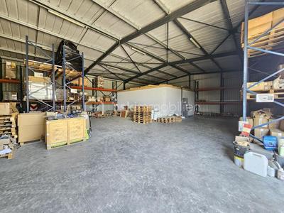 Local d'activité / Entrepôt - 354 m² - 3 pièces