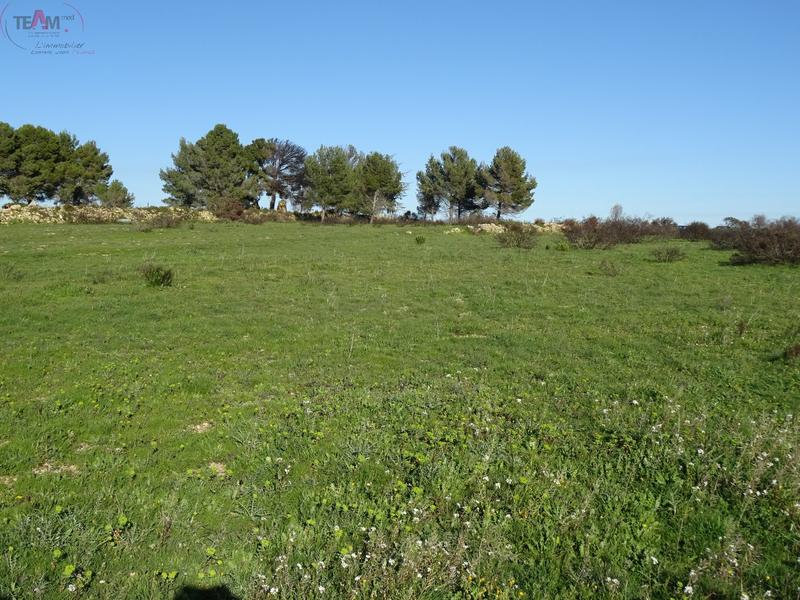 Terrain agricole - 4 720 m²