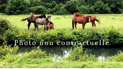 Propriété - 170 m² - 10 pièces