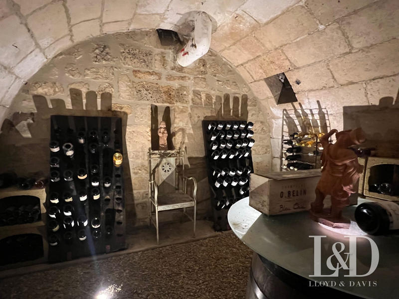 Maison - 710 m² - 15 pièces