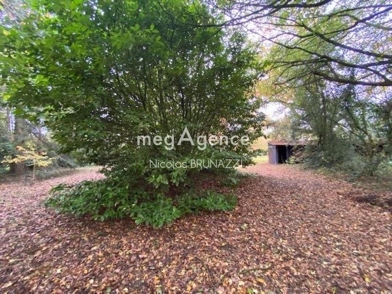 Longère - 85 m² - 4 pièces