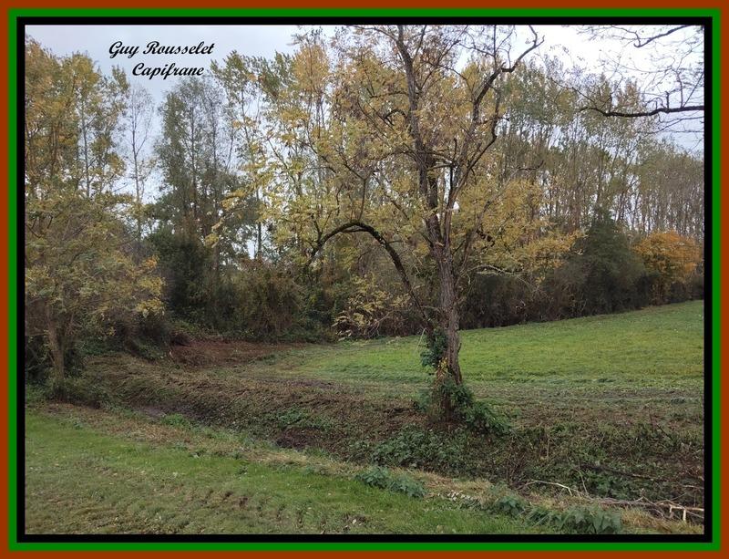 Propriété - 93 m² - 4 pièces