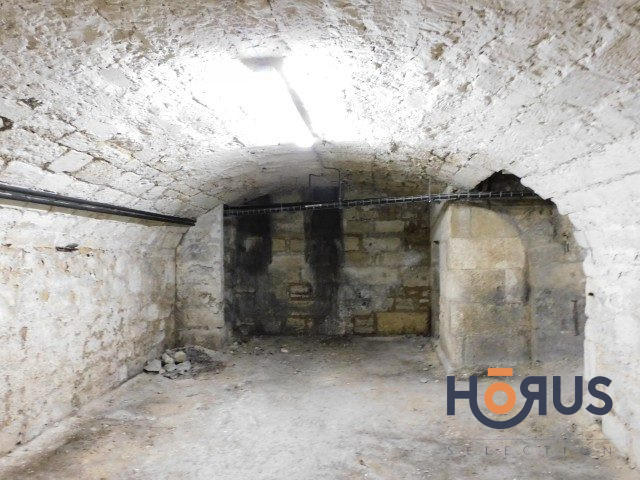 Viager - Maison ancienne - 170 m² - 5 pièces