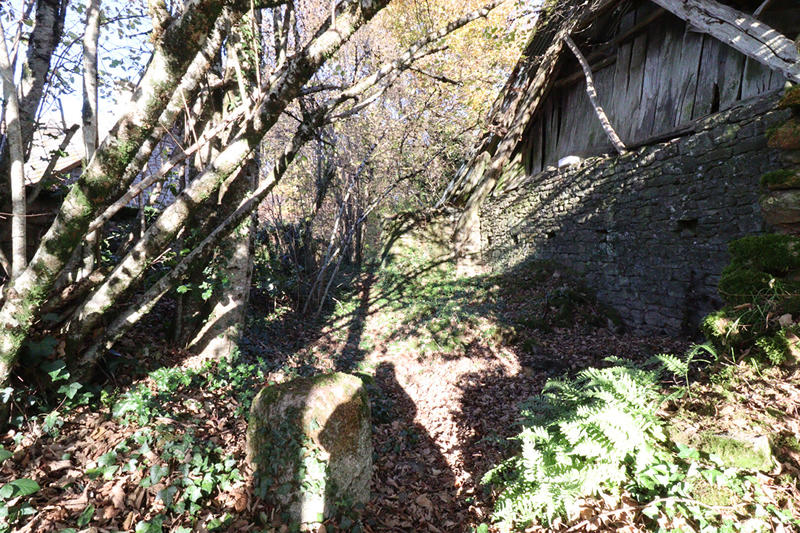 Maison - 45 m² - 1 pièce