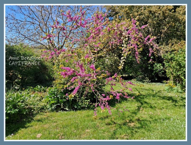 Maison de campagne - 225 m² - 6 pièces