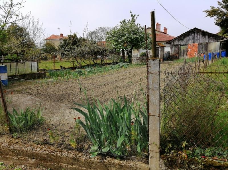 Maison - 20 m² - 1 pièce