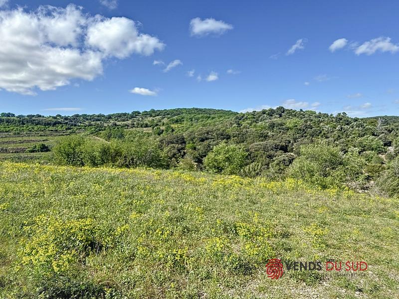 Viager - Maison de campagne - 107 m² - 3 pièces