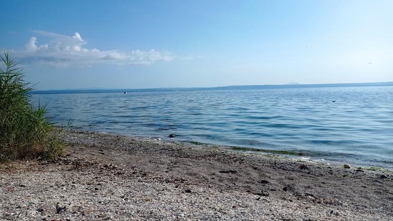 Eco balade autour de l'étang de Berre