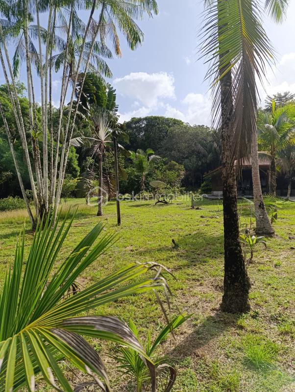 Maison de bois - 110 m² - 5 pièces