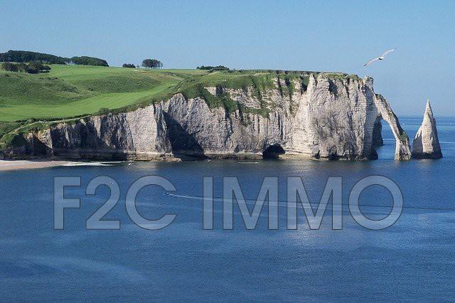 Fonds de commerce - Magasins - 550 m²