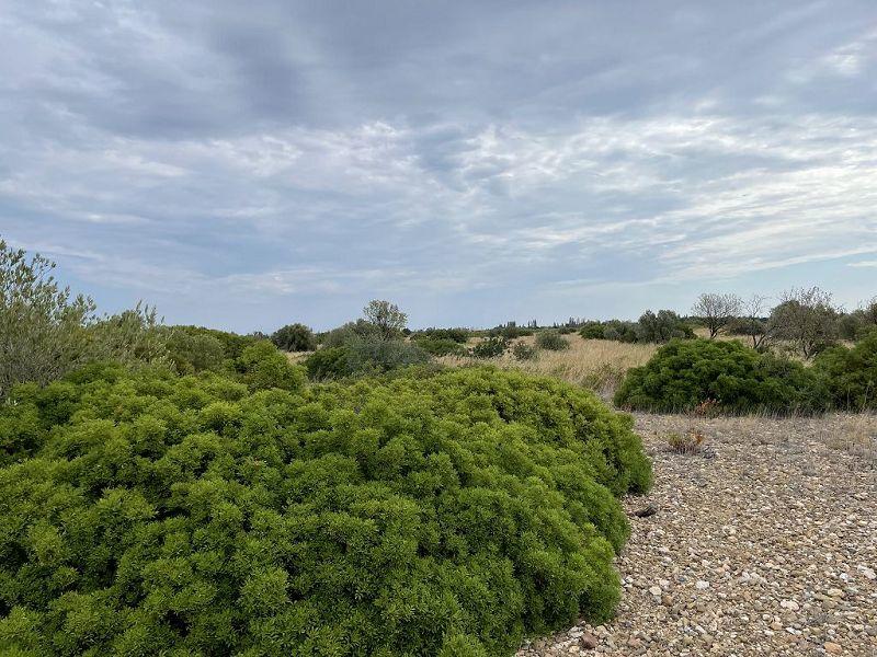 Terrain - 21 115 m²