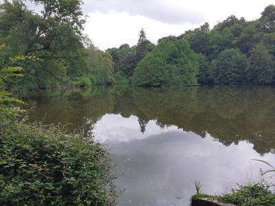 Terrain - 24 860 m²