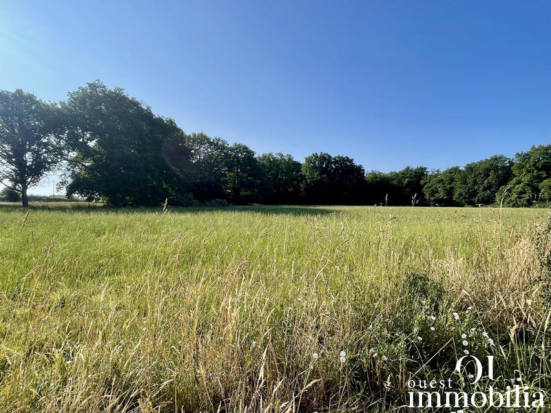 Maison contemporaine - 80 m² - 3 pièces