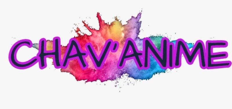 Vide grenier de chav'anime