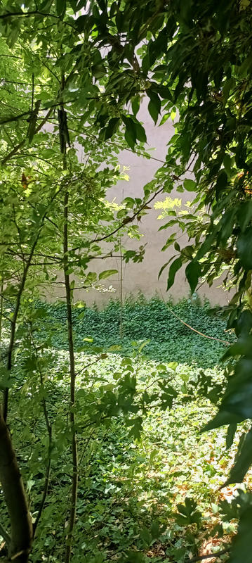 Maison de village - 70 m² - 3 pièces