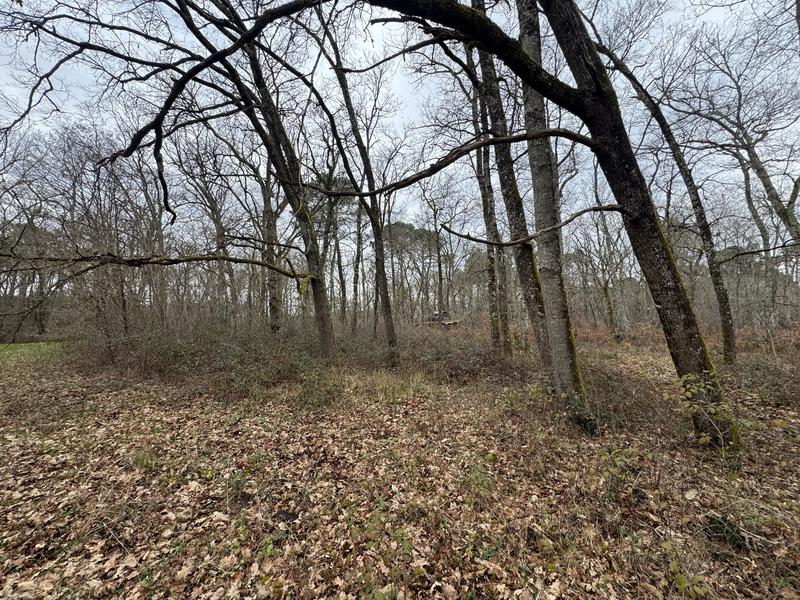 Terrain - 96 131 m²