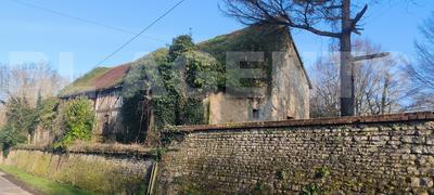 Terrain - 15 000 m²