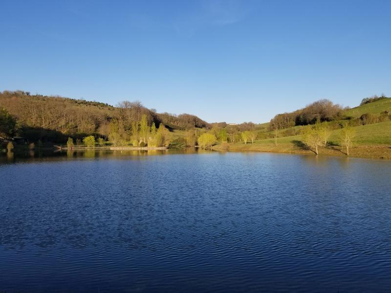 Maison - 936 m² - 23 pièces