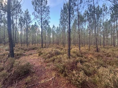 Terrain - 40 400 m²