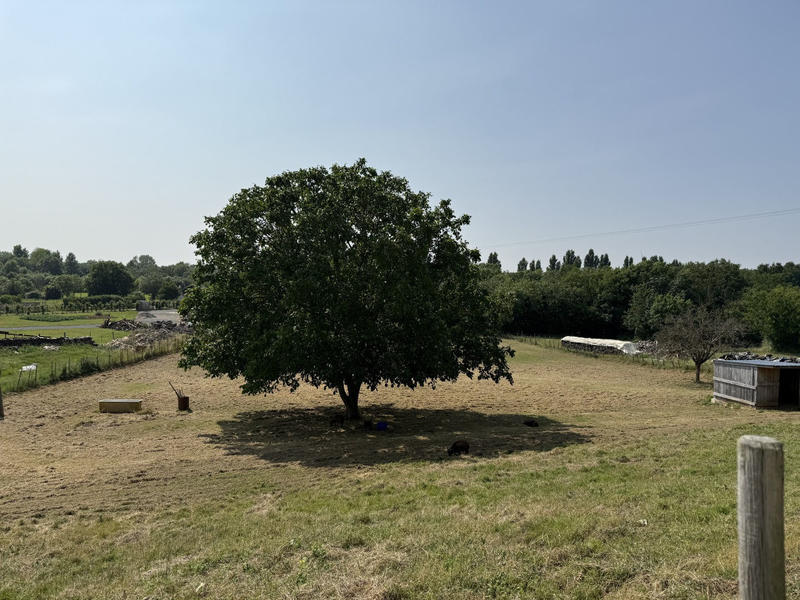 Maison - 138 m² - 5 pièces