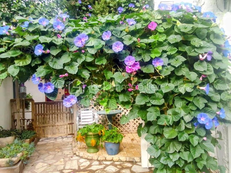 Propriété - 171 m² - 6 pièces