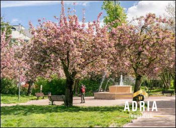 Appartement - 129 m² - 5 pièces