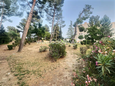 Appartement - 90 m² - 5 pièces